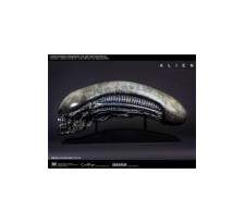 Alien: Covenant Replica 1/1 Xenomorph Head 90 cm